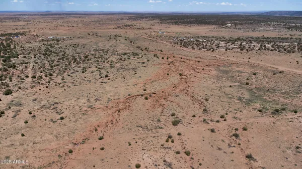 a view of a dry yard