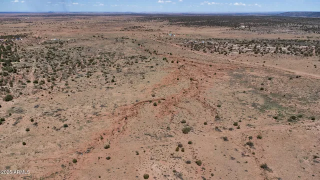 a view of a dry yard
