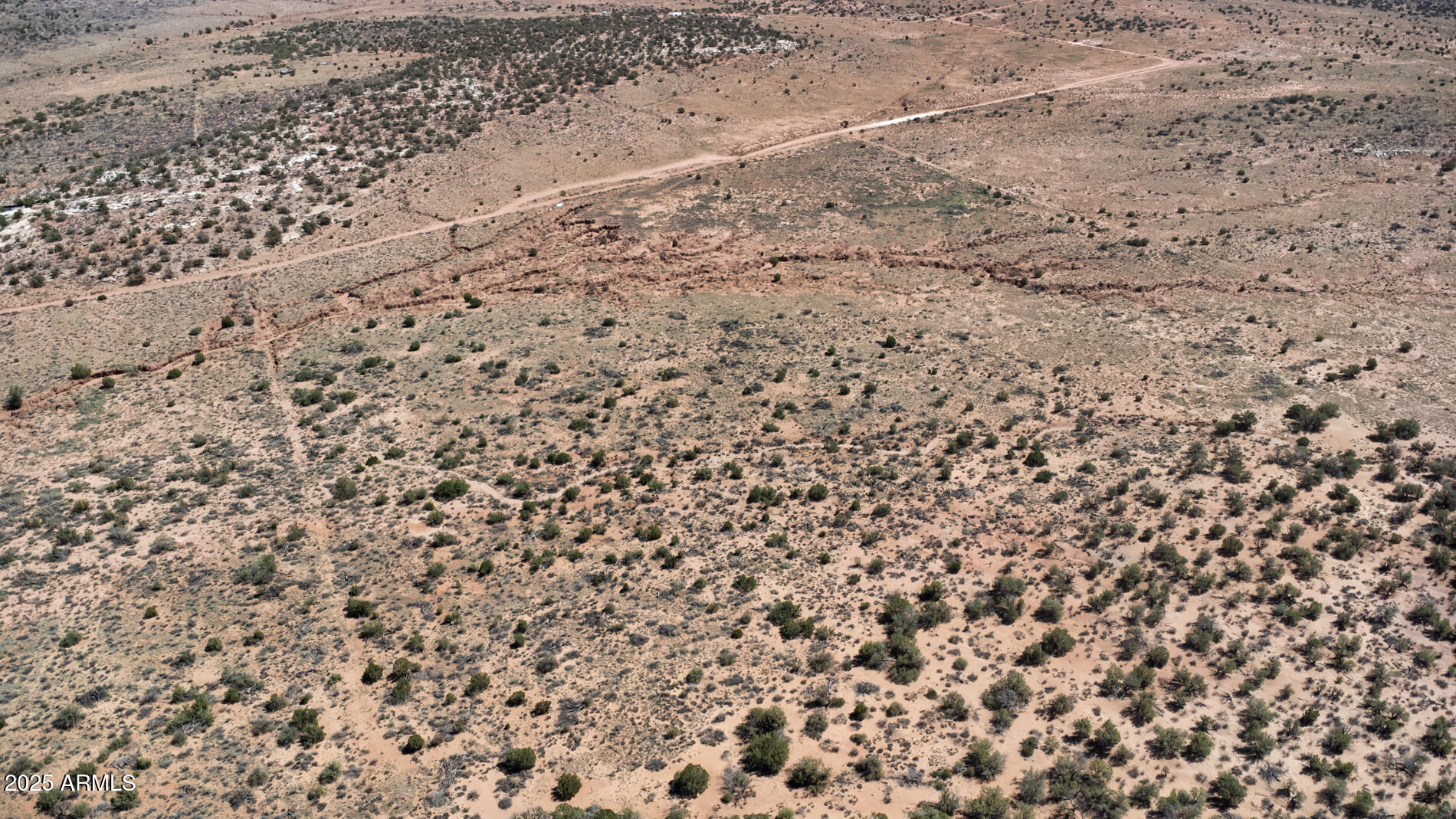 3744 Jordan Road Snowflake, AZ 85937 - Photo 6 of 12 a close up of a plant