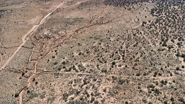 a view of a dry yard with wooden floor and a yard
