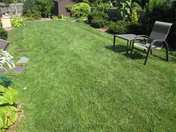 5 Marmion Road Melrose, MA 02176 - Photo 25 of 30 Gallery Image 25