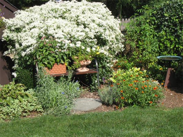 5 Marmion Road Melrose, MA 02176 - Photo 26 of 30 Gallery Image 26