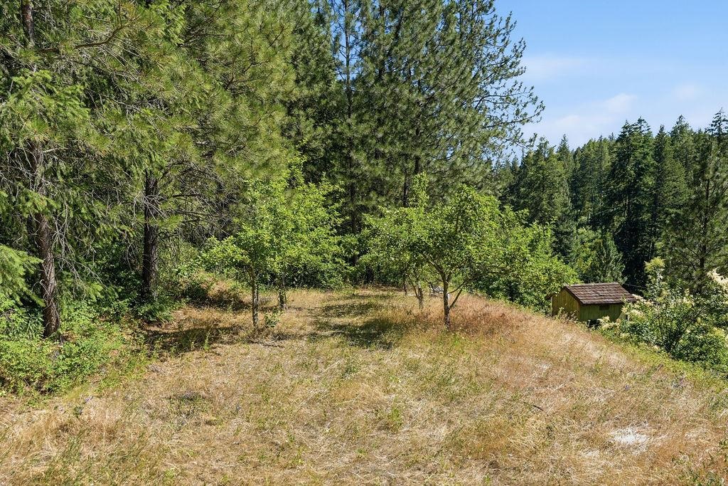 17118 North Dunn Road Mead, WA 99021 - Photo 45 of 50