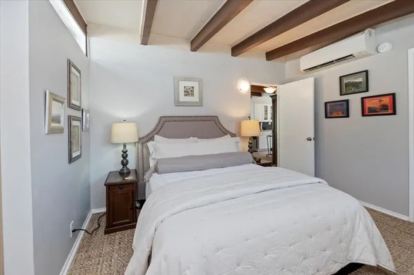 a spacious bedroom with a bed a dresser and potted plant