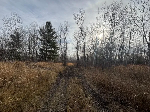$152,000 | 0 County Highway 61, Pine City, MN 55063