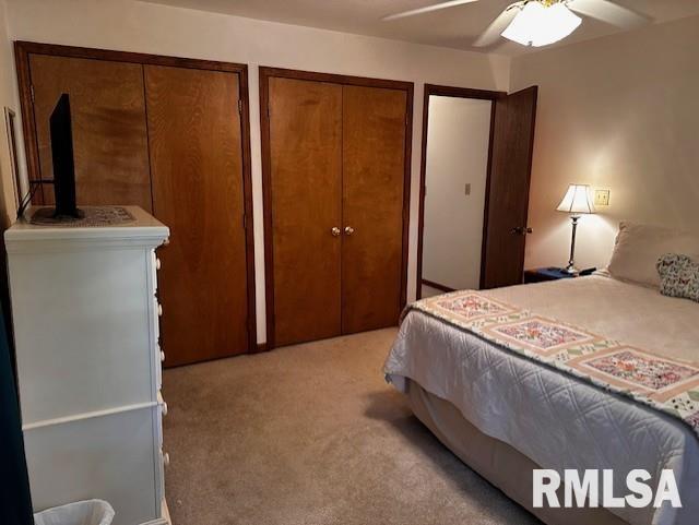 604 Water Tower Road Murrayville, IL 62668 - Photo 13 of 65