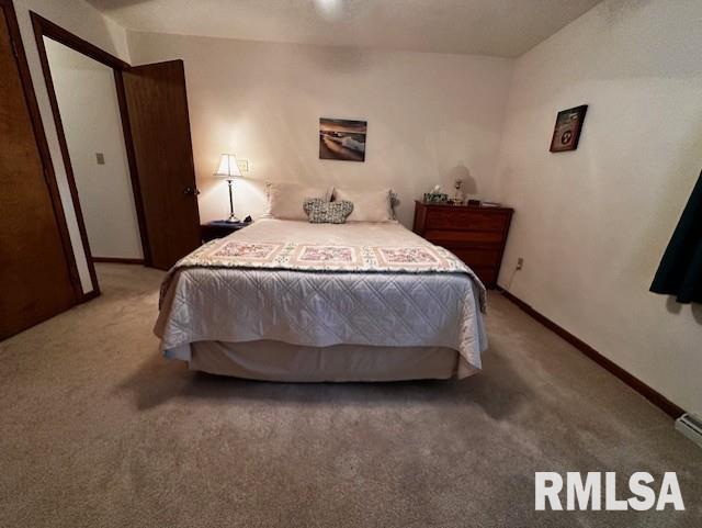604 Water Tower Road Murrayville, IL 62668 - Photo 14 of 65