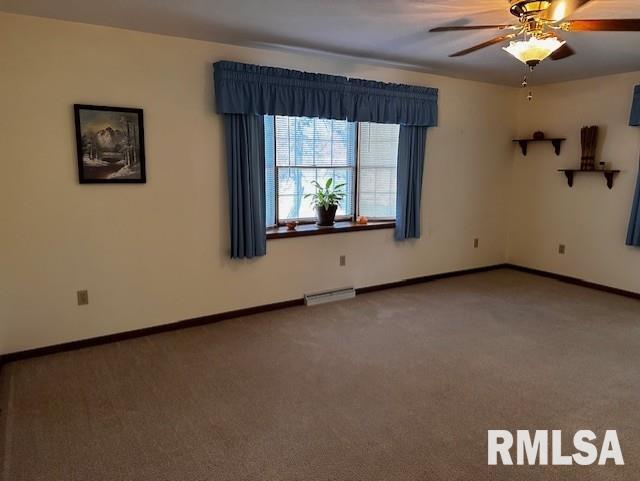 604 Water Tower Road Murrayville, IL 62668 - Photo 3 of 65