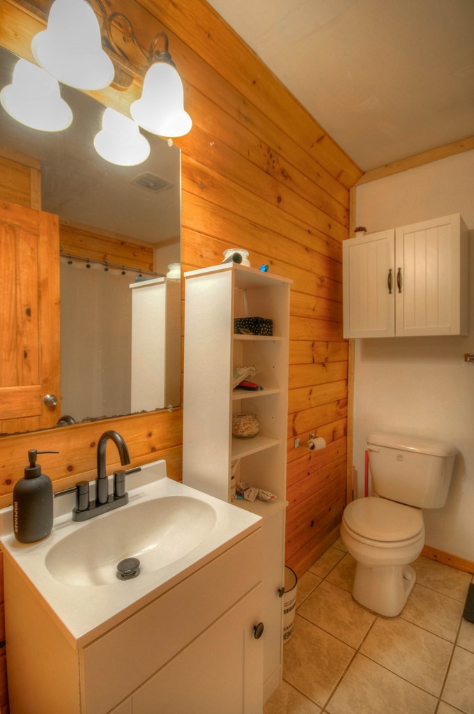 416 Forest View Murphy, NC 28906 - Photo 47 of 54 Gallery Image 47