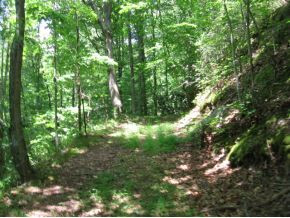 175 Brown Mountain Road Greeneville, TN 37745 - Photo 4 of 8 Photo 4