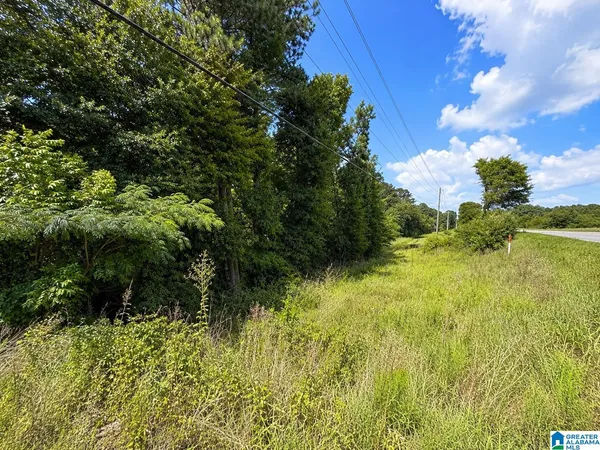 $120,000 | 0 Highway 78, Riverside, AL 35135
