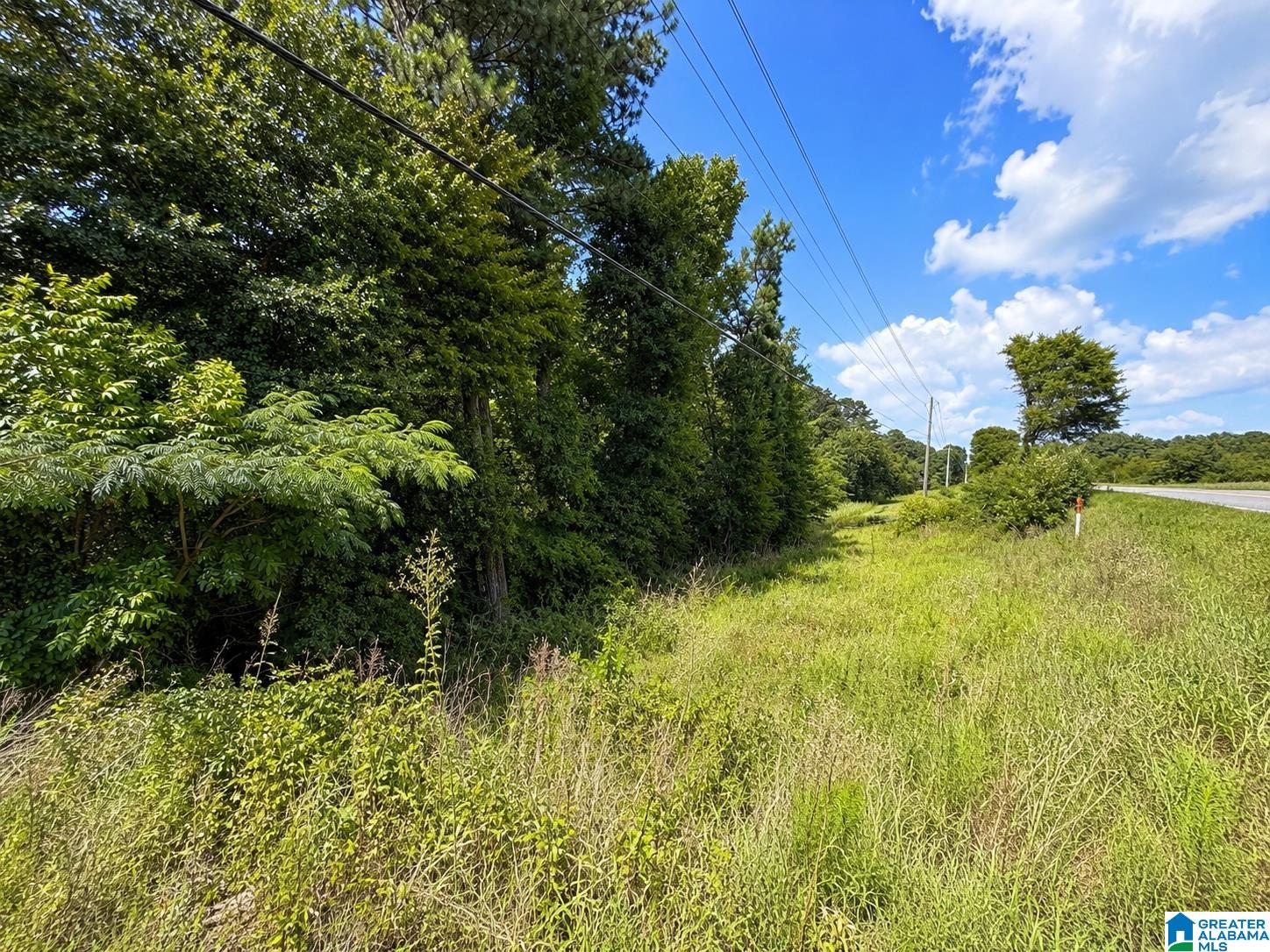 0 Highway 78 Riverside, AL 35135 - Photo 1 of 5