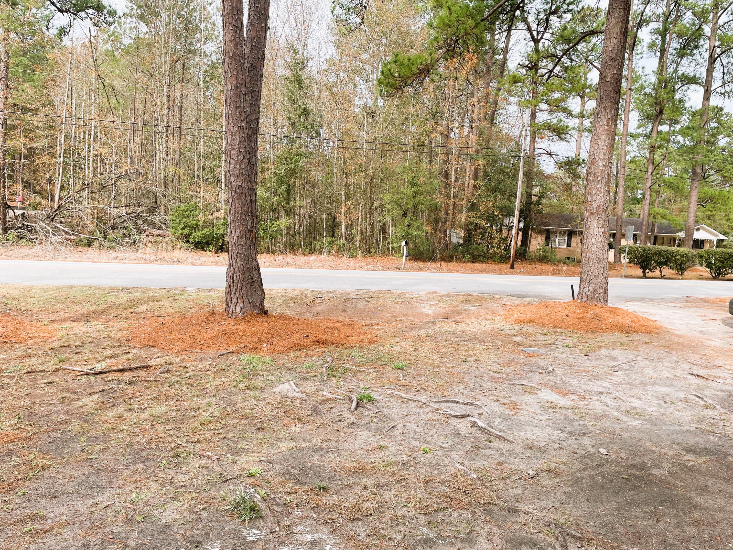 404 Gadsden Loop Walterboro, SC 29488 - Photo 30 of 33 404 Gadsden Loop