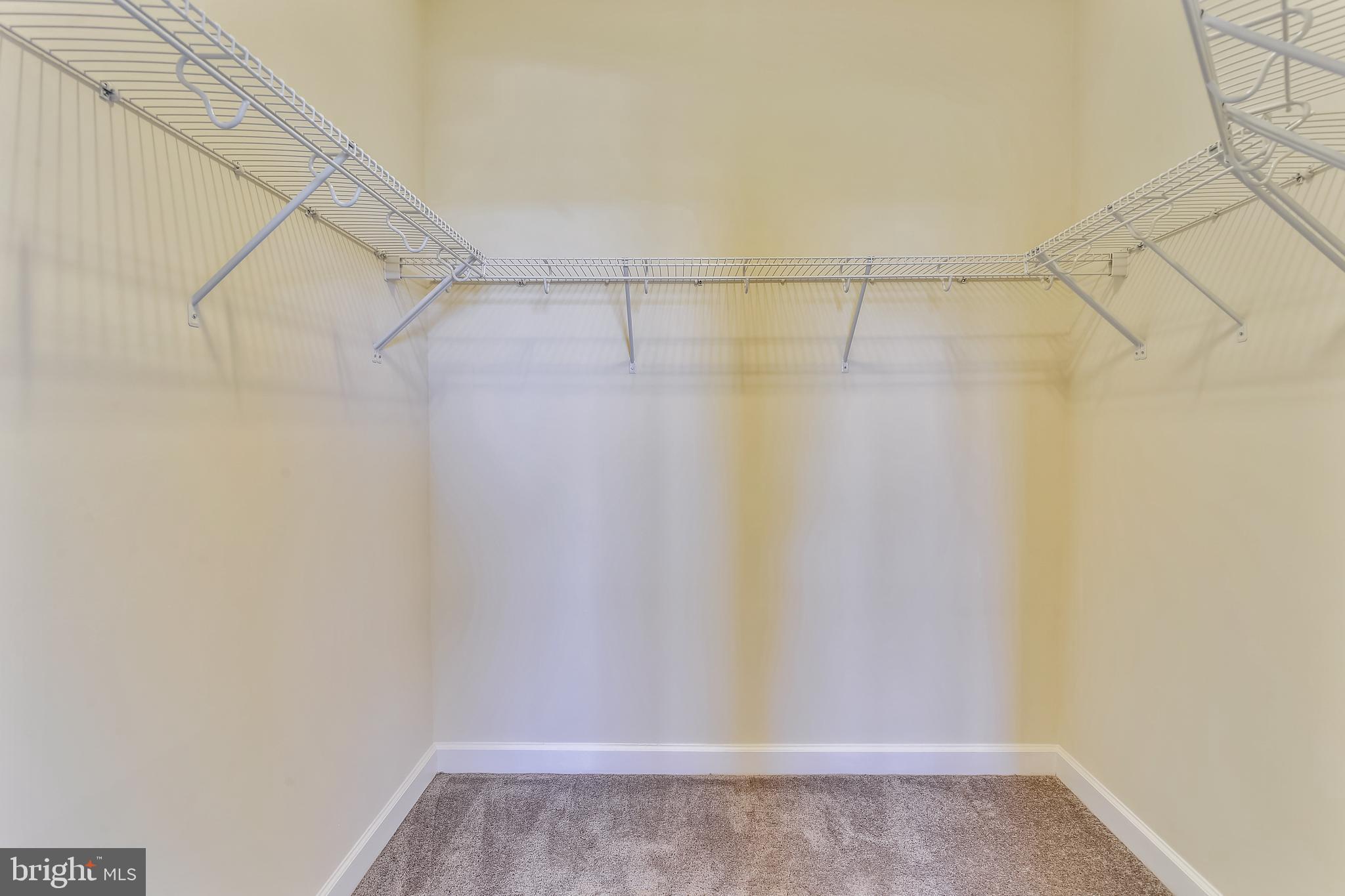 46422 Rilassare Terrace Sterling, VA 20164 - Photo 35 of 42 Primary bedroom walk-in closet