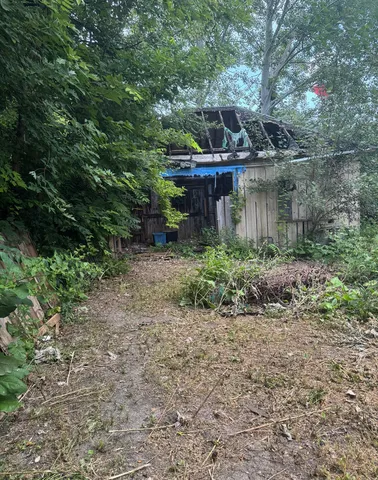 a view of a back yard