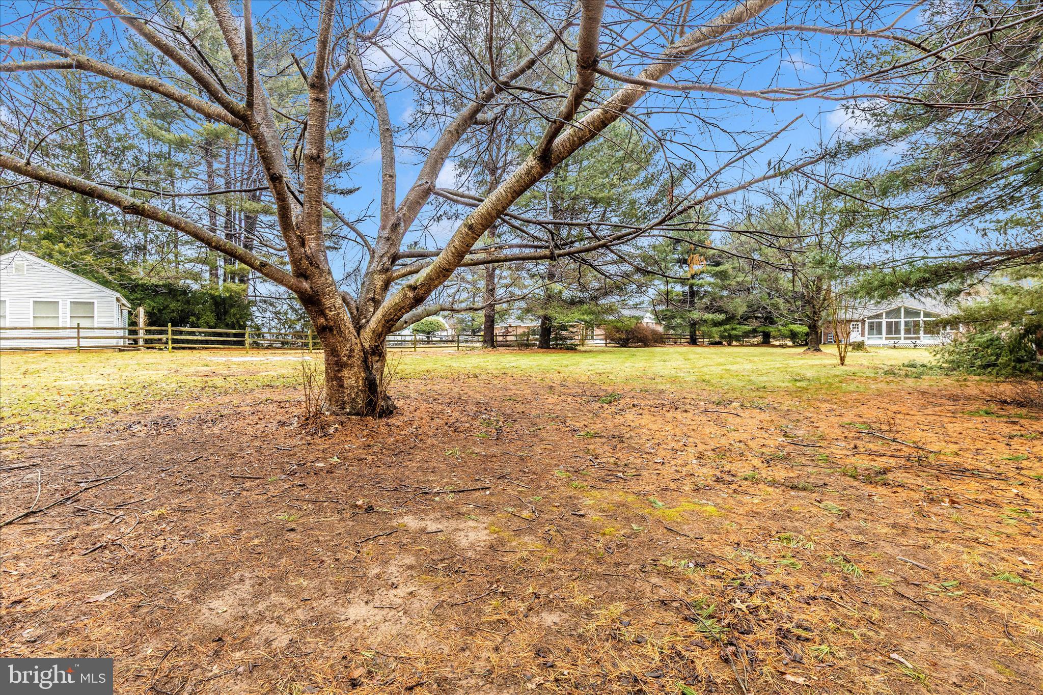 9811 Watkins Road Gaithersburg, MD 20882 - Photo 47 of 54 a view of yard with tree
