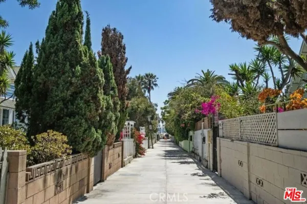 a view of a potted flower in the corridor