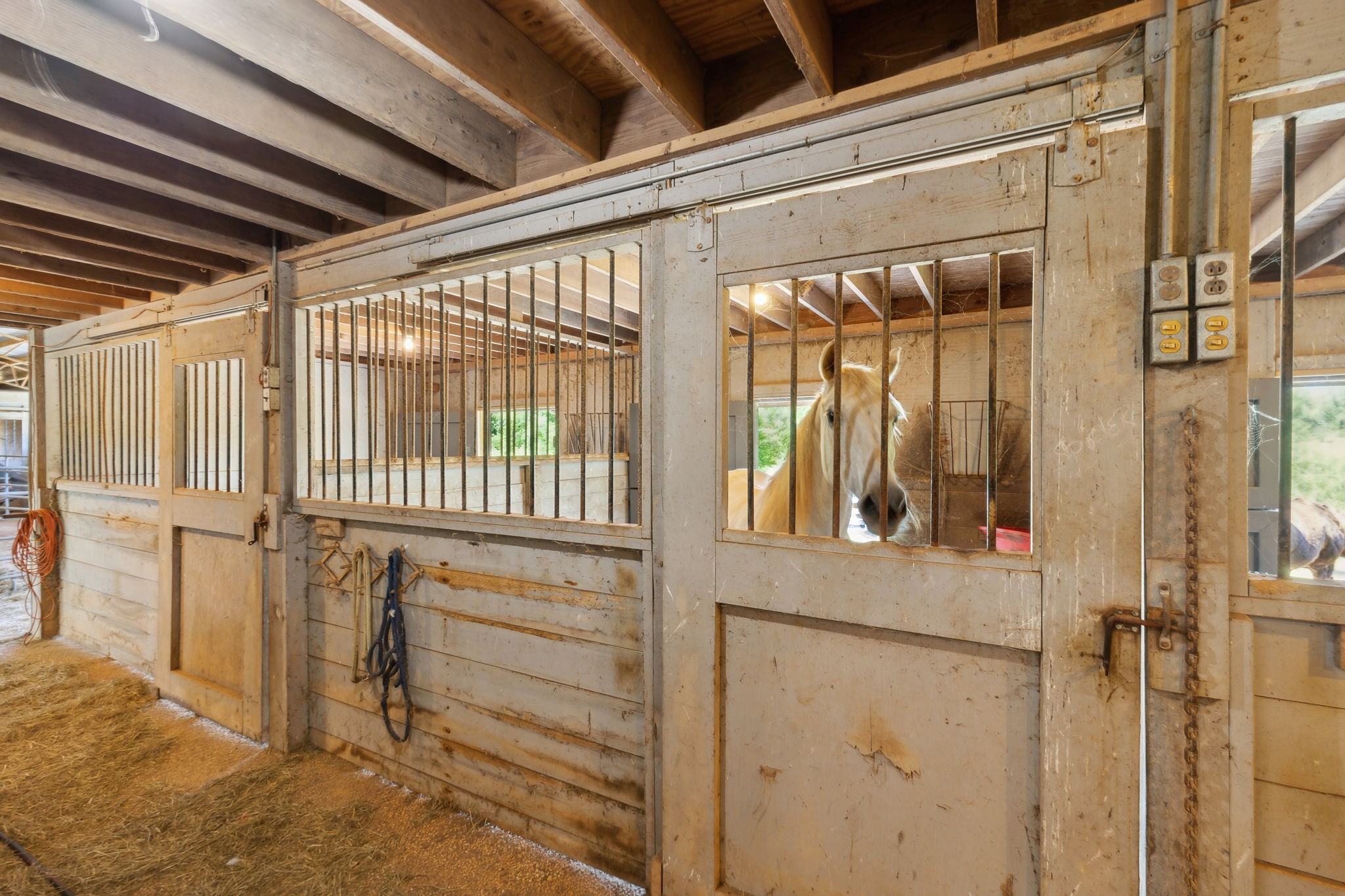 7734 Upper Snake Road Athens, AL 35614 - Photo 59 of 74