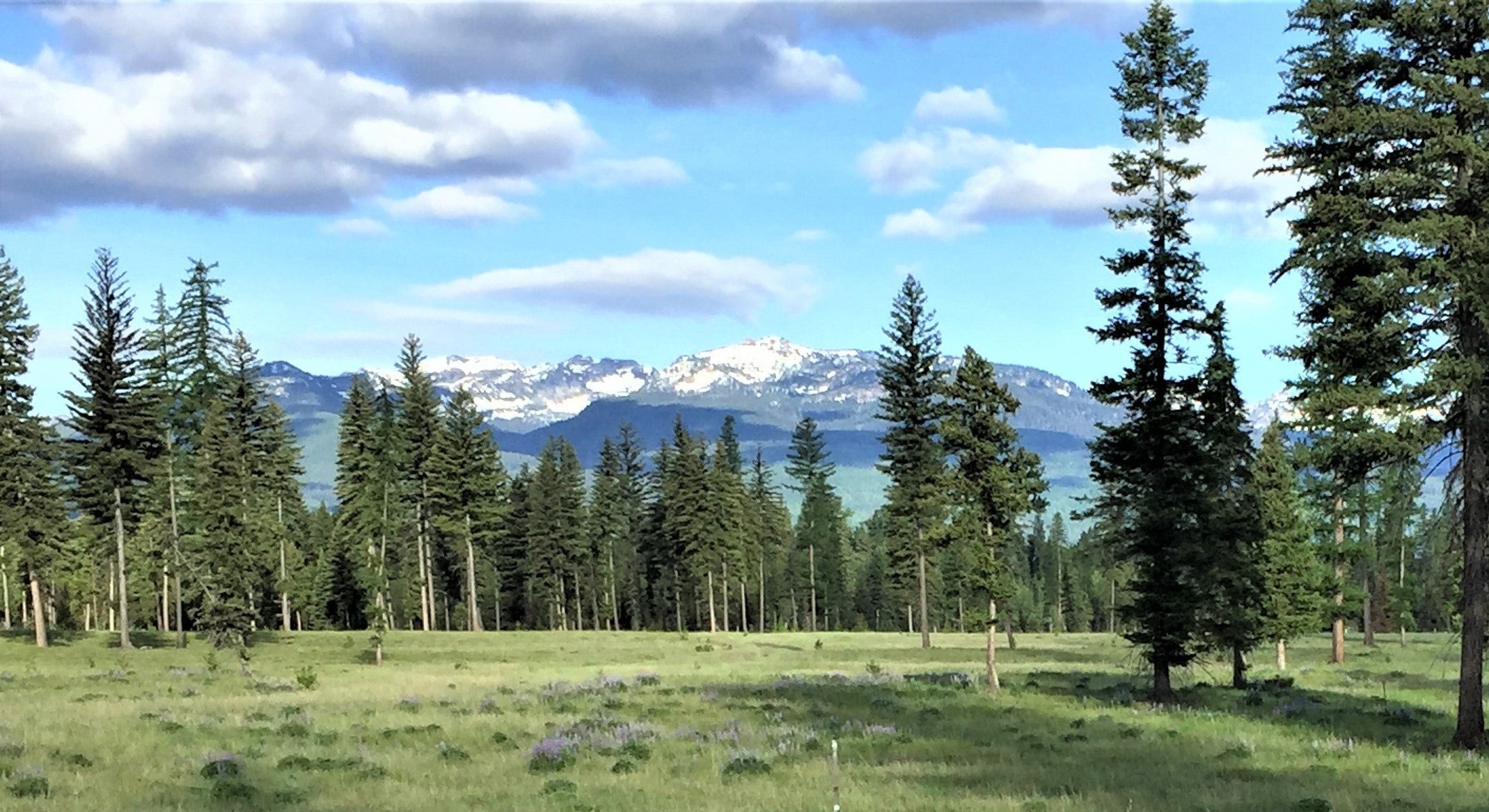 865 Remicks Road Condon, MT 59826 - Photo 1 of 23 Gallery Image 1