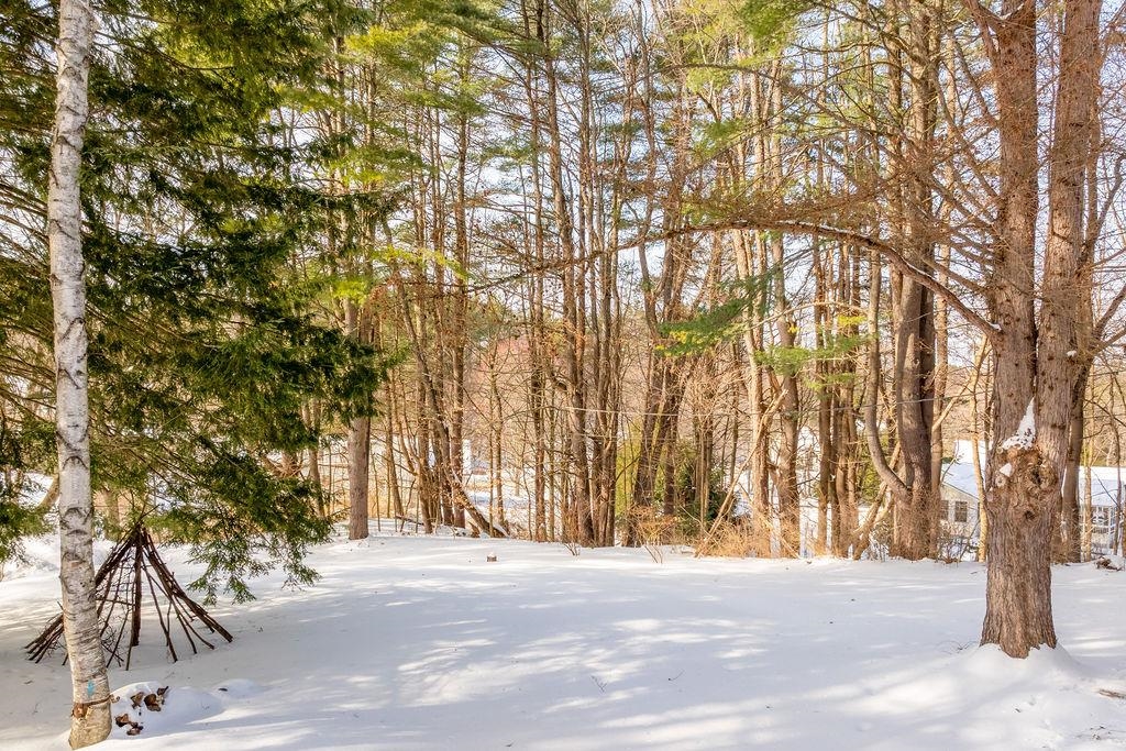 7 Birchbrook Street Hanover, NH 03755 - Photo 39 of 54