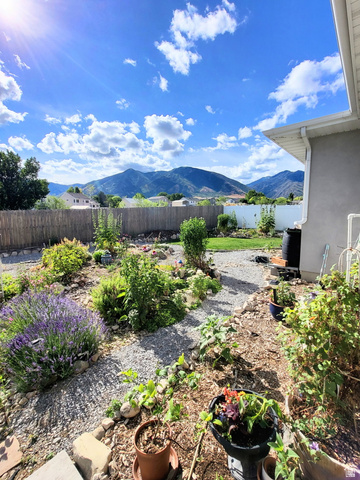 683 Kings Landing Tooele, UT 84074 - Photo 35 of 39 Landscaped backyard with gravel pathways, a wooden privacy fence, and diverse plantings