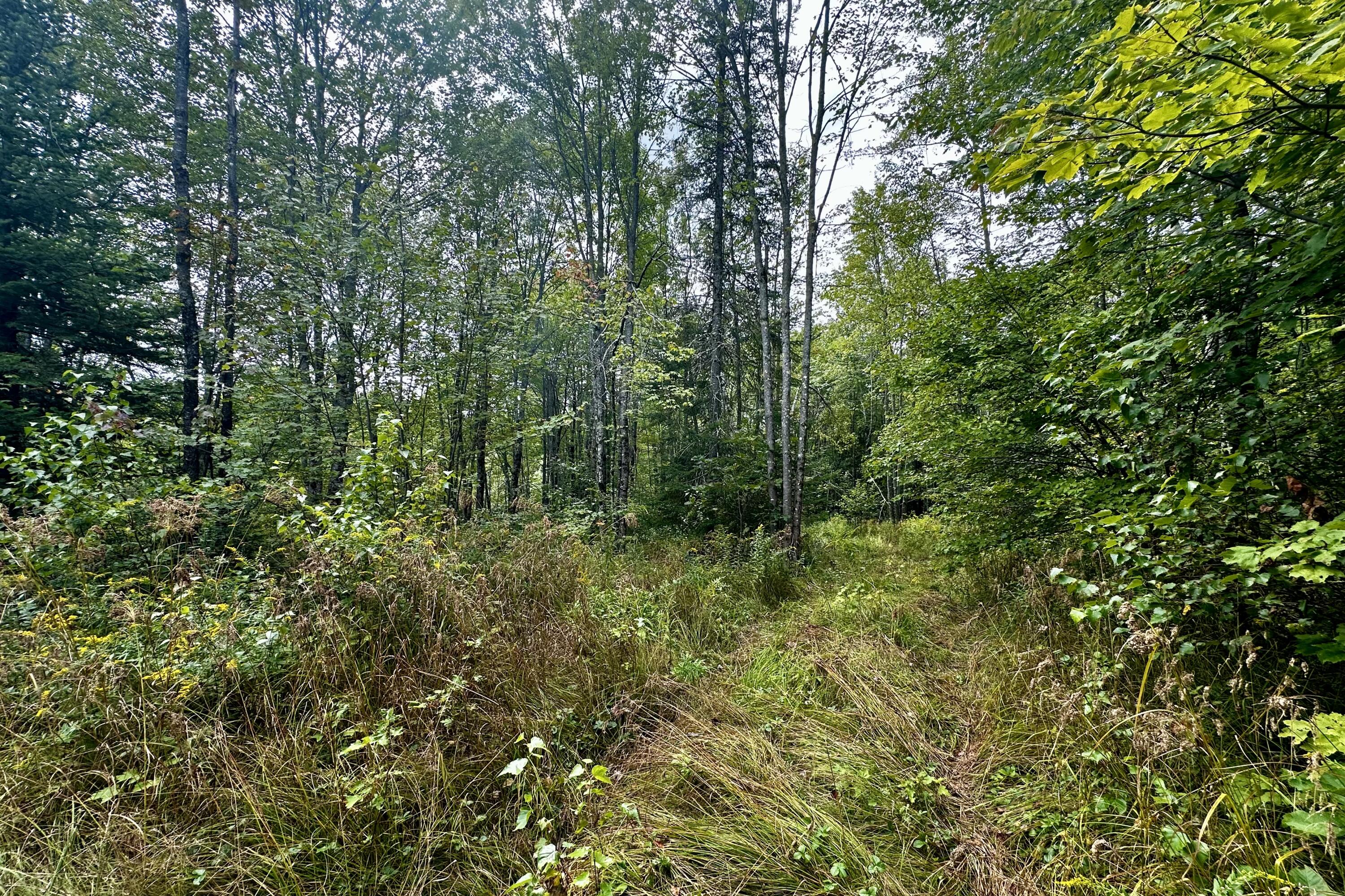 47 C Spirit Wind Farm Road Lebanon, ME 04027 - Photo 28 of 37 IMG_4103