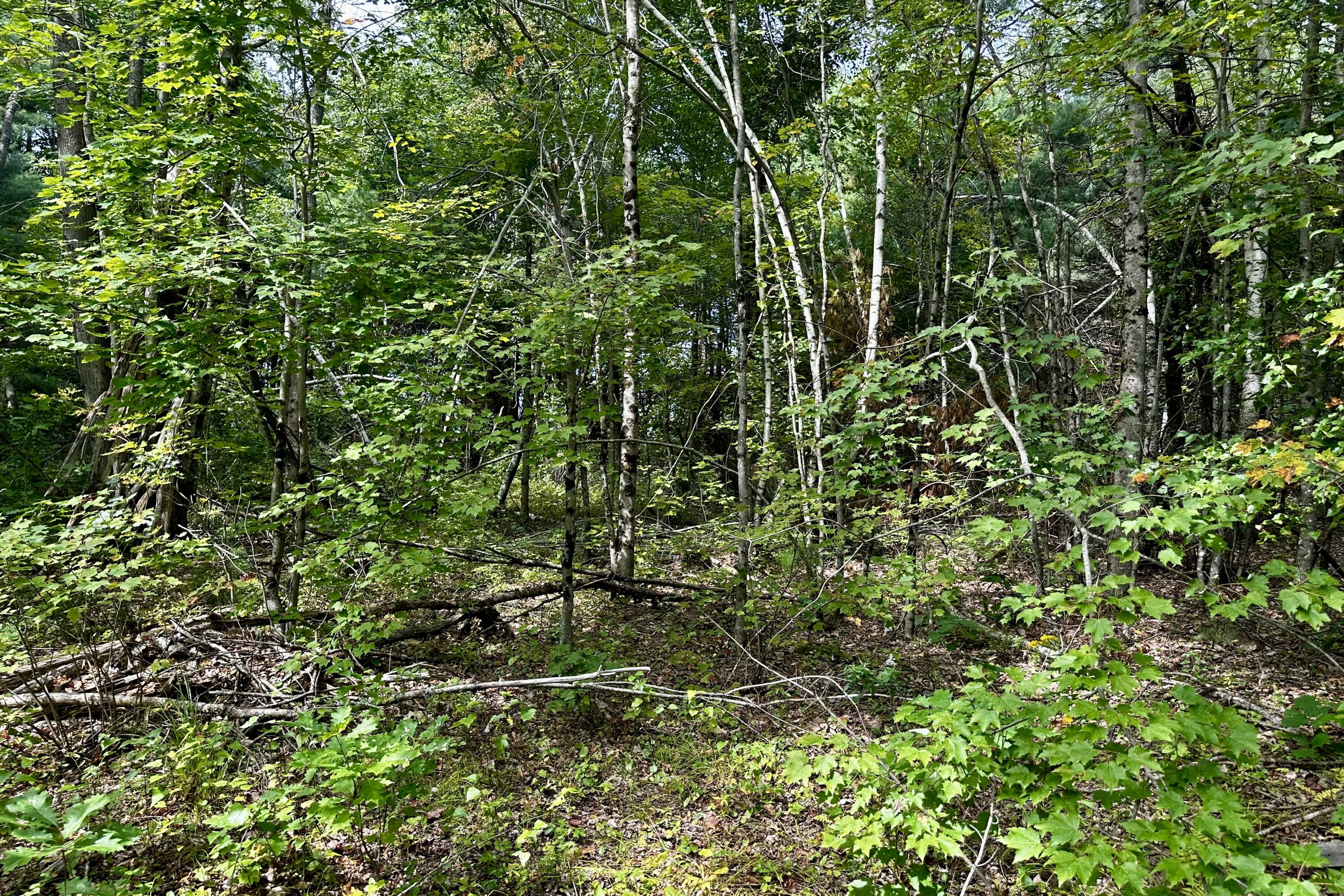 47 C Spirit Wind Farm Road Lebanon, ME 04027 - Photo 30 of 37 IMG_4107