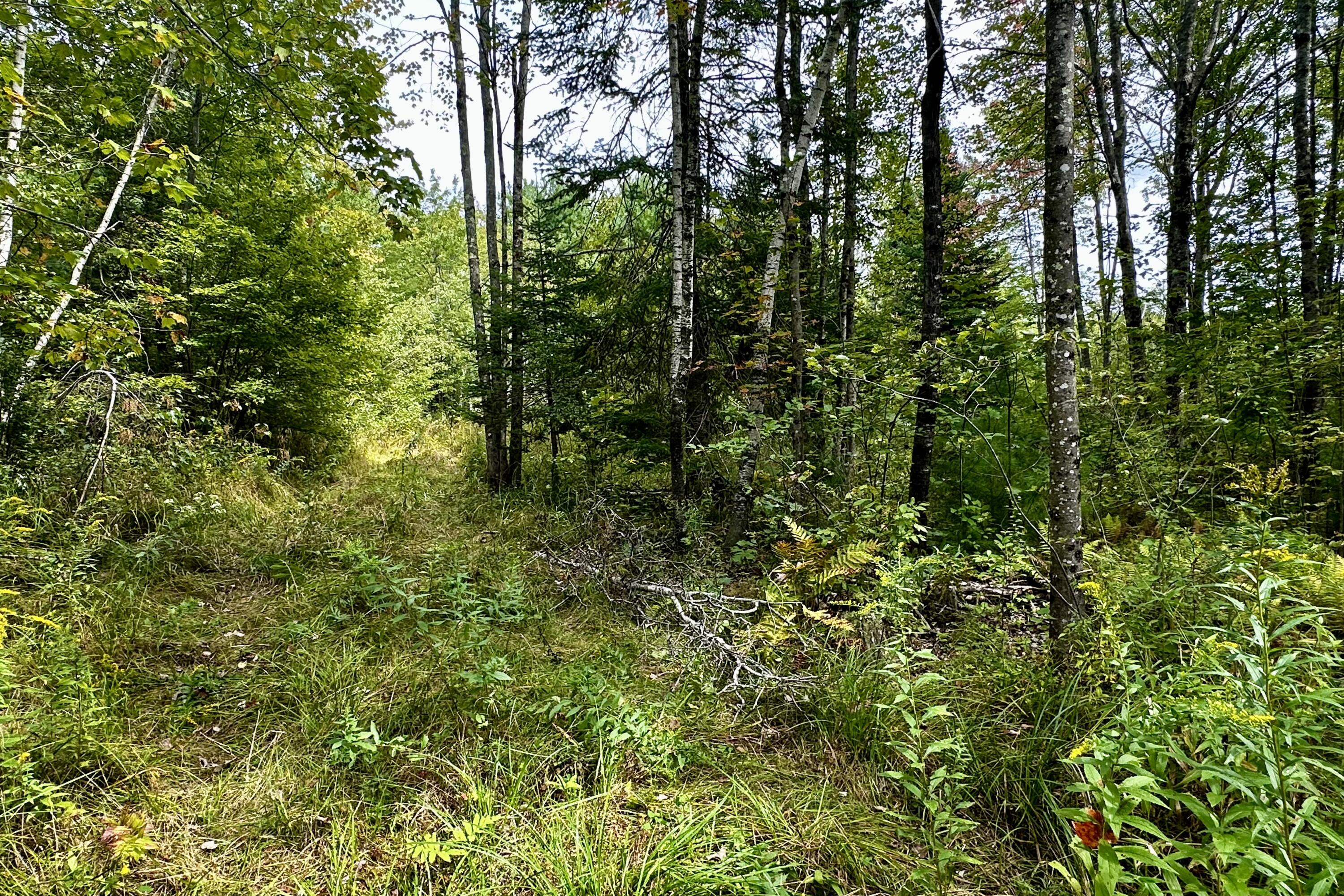 47 C Spirit Wind Farm Road Lebanon, ME 04027 - Photo 33 of 37 IMG_4111