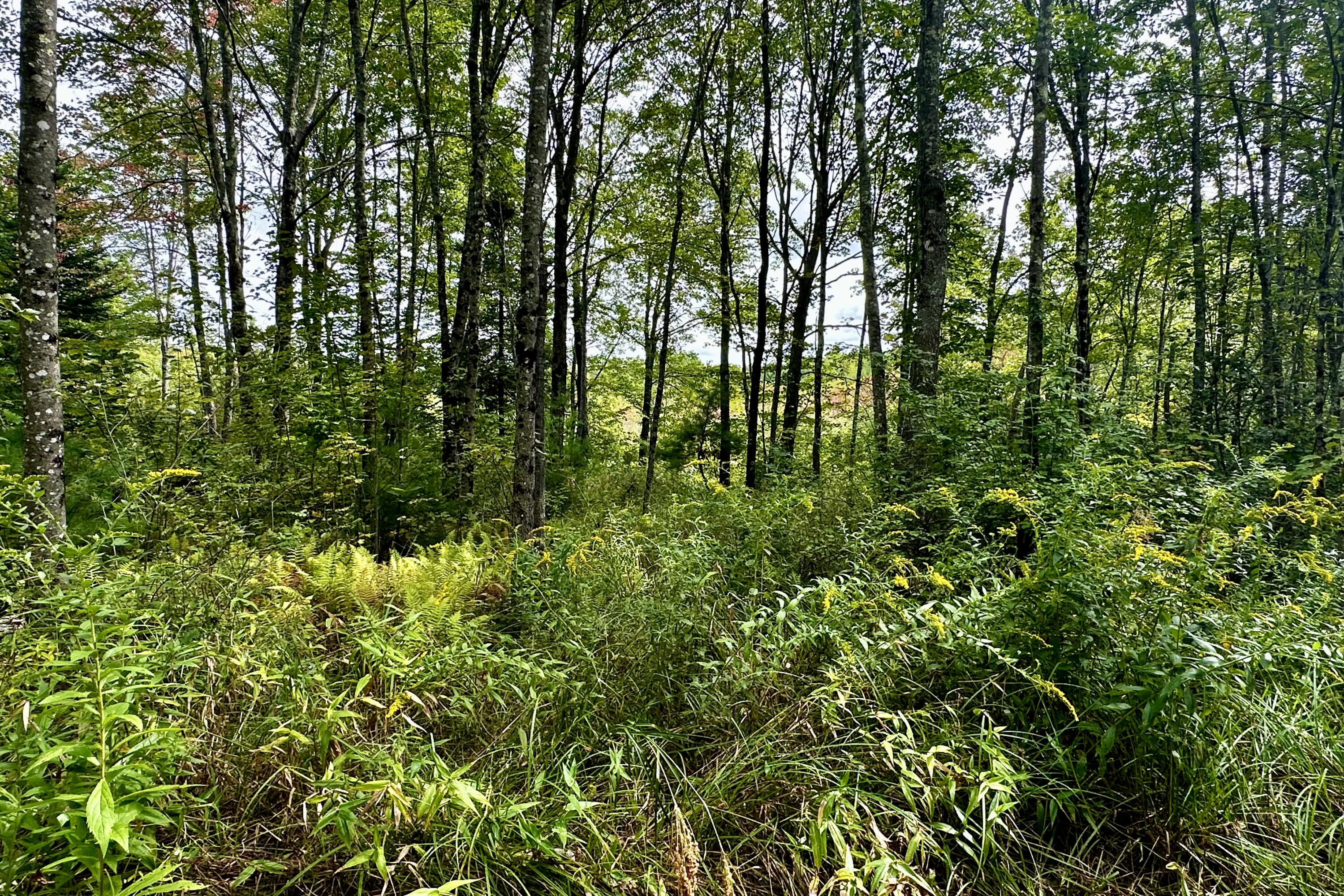 47 C Spirit Wind Farm Road Lebanon, ME 04027 - Photo 34 of 37 IMG_4112