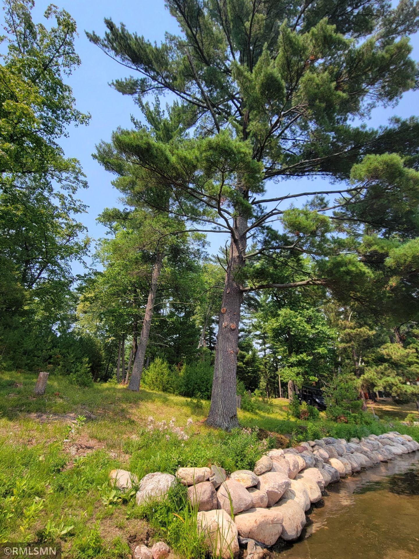 Tbd Anchor Point Road Crosslake, MN 56442 - Photo 1 of 1 Gallery Image 1