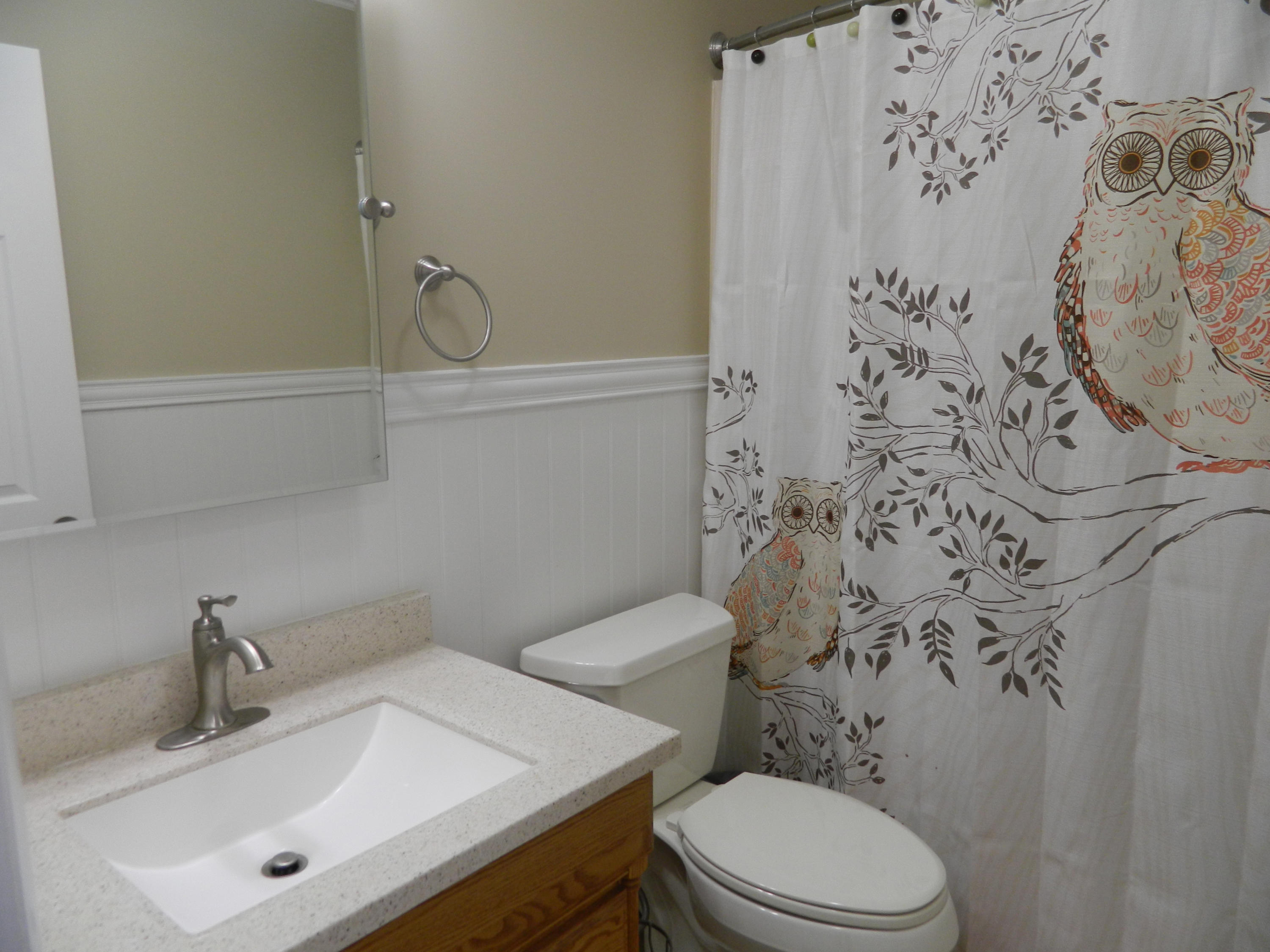 6604 Sherry Road Roanoke, VA 24019 - Photo 21 of 34 Hall Bathroom