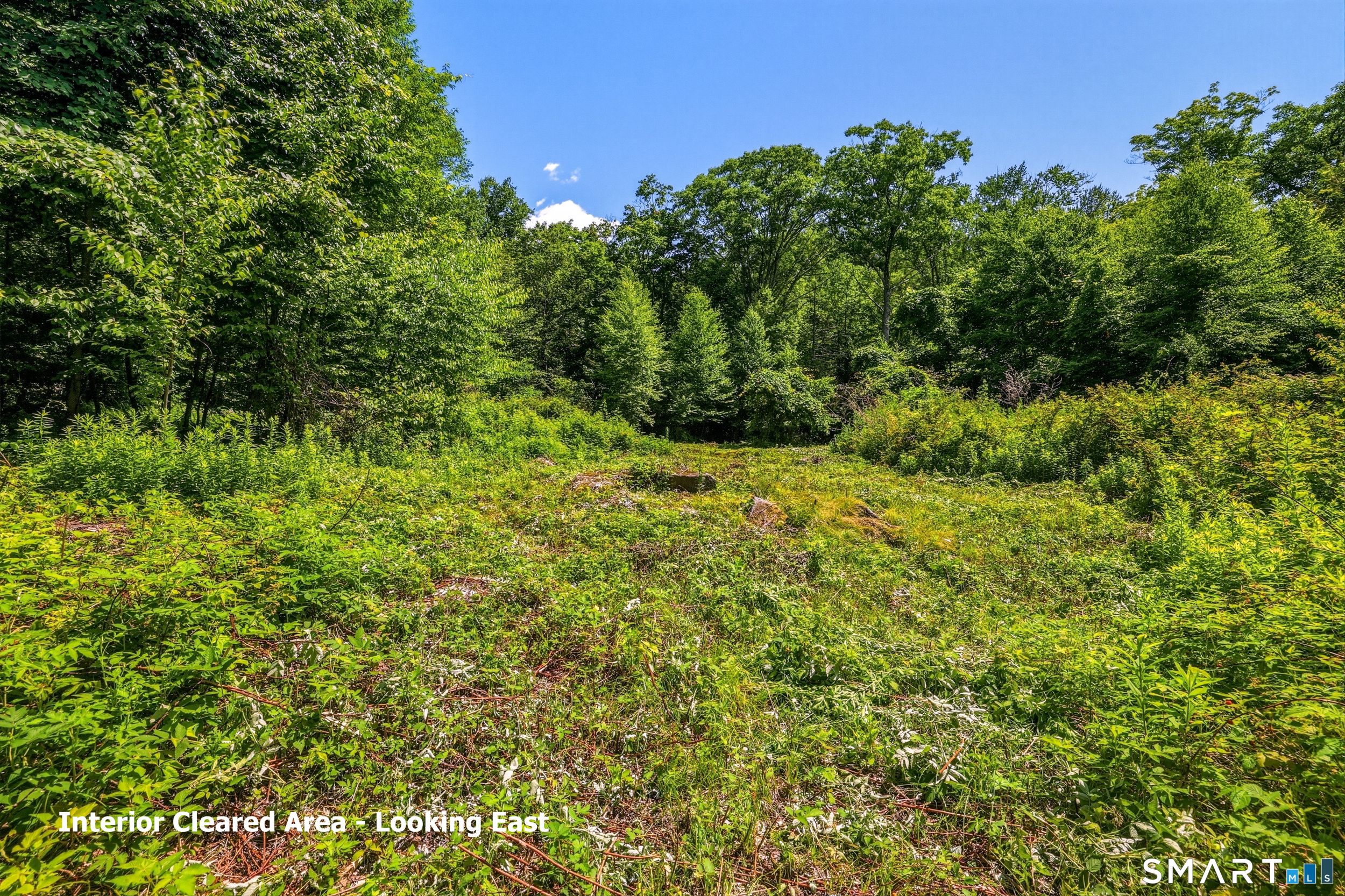 Ashley Road Winsted, CT 06098 - Photo 5 of 19