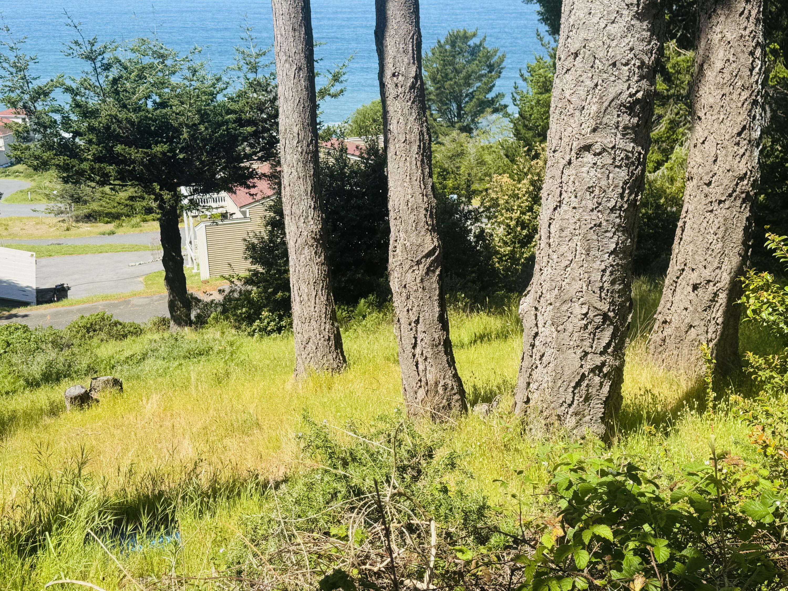 110 Albatross Road Shelter Cove, CA 95589 - Photo 3 of 7