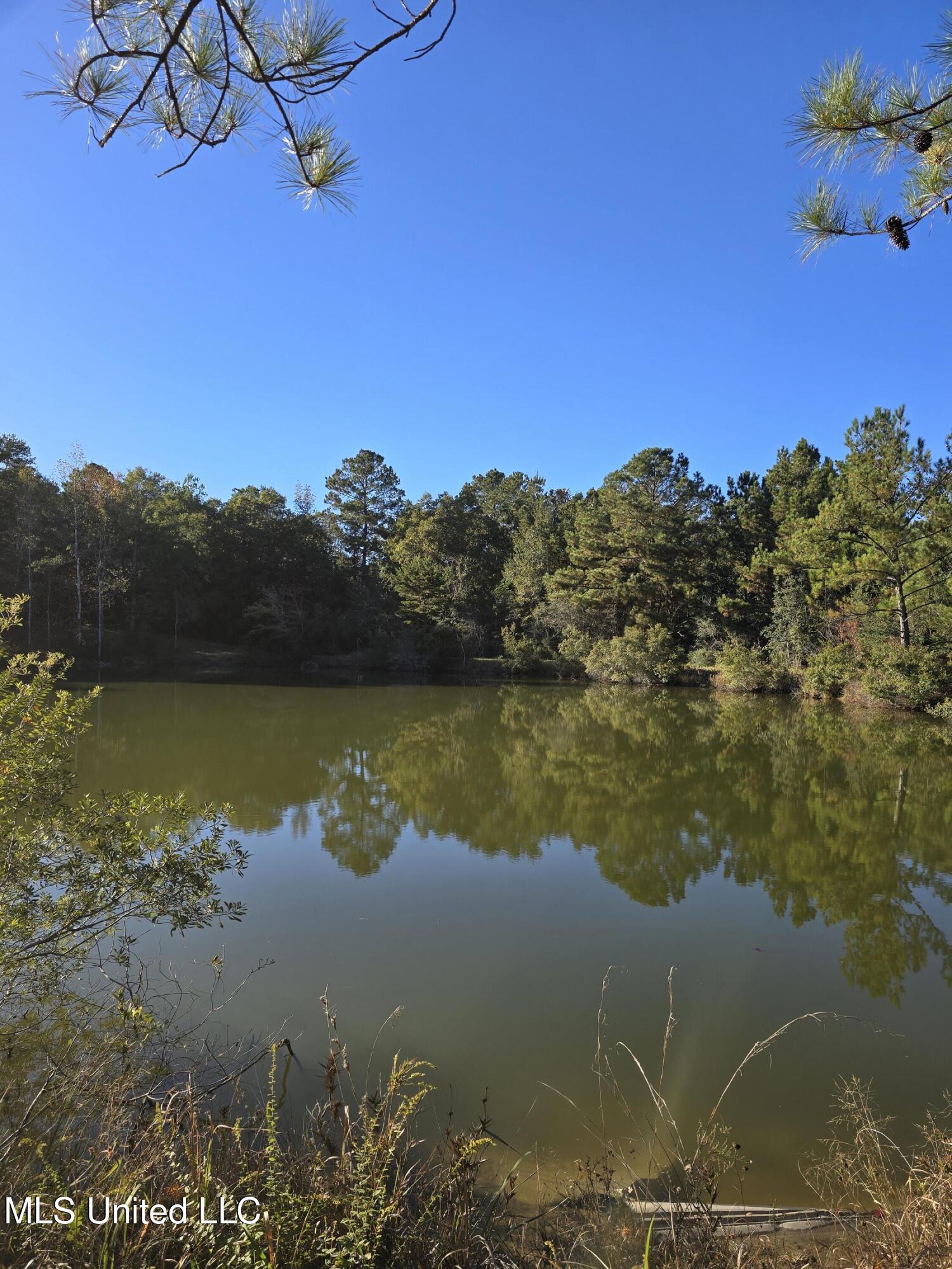 2243 Central Firetower Road Lucedale, MS 39452 - Photo 3 of 7 Pond