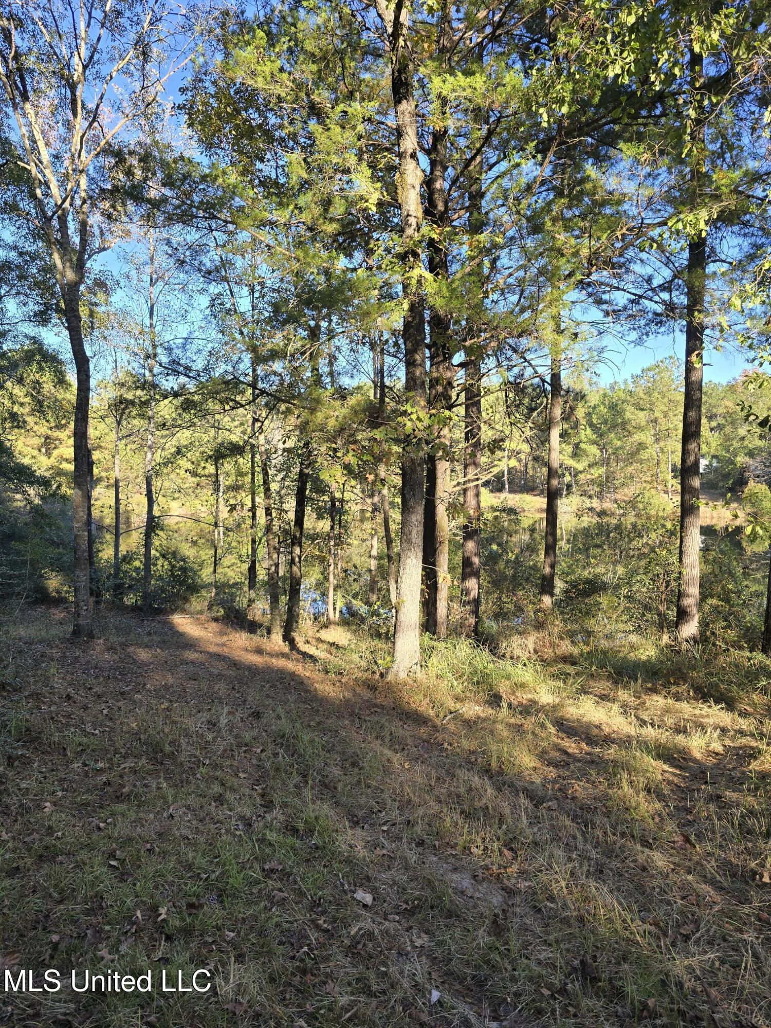 2243 Central Firetower Road Lucedale, MS 39452 - Photo 5 of 7 Backside of pond