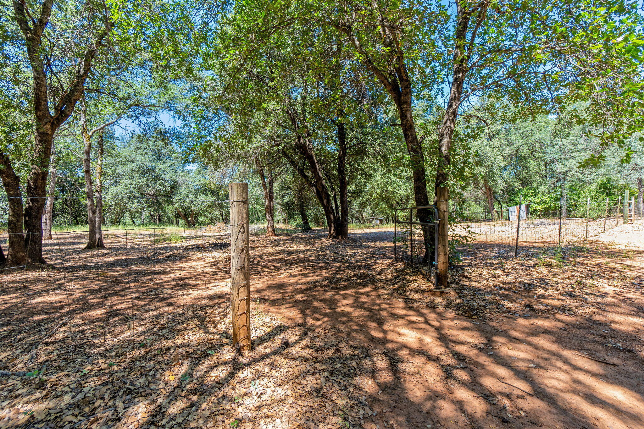 10390 October Lane Redding, CA 96003 - Photo 54 of 94 Yard