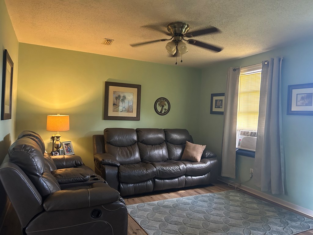 1570 McDaniel Road Ashford, AL 36312 - Photo 3 of 17