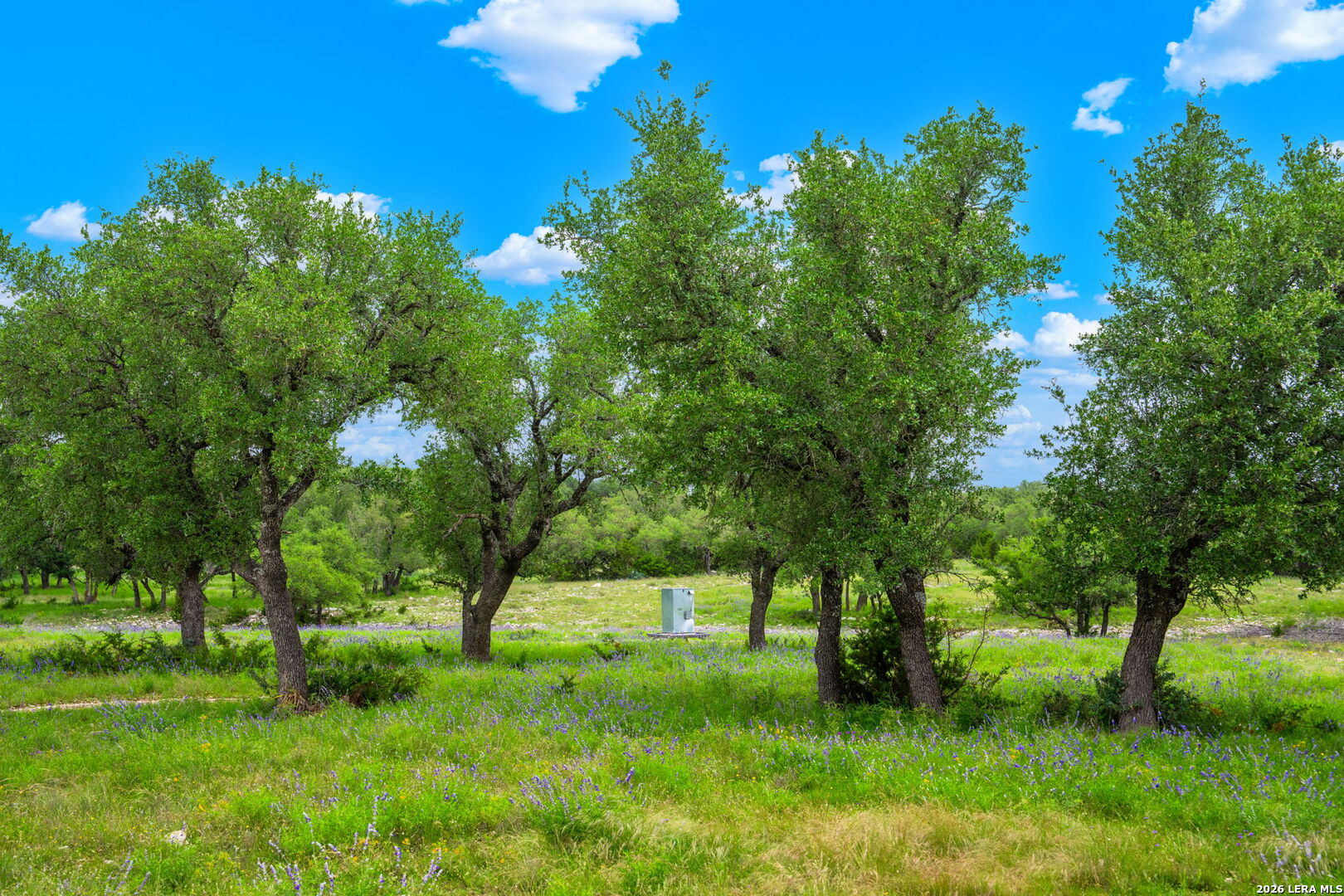 196 Scenic Hills Road Menard, TX 76859 - Photo 18 of 46