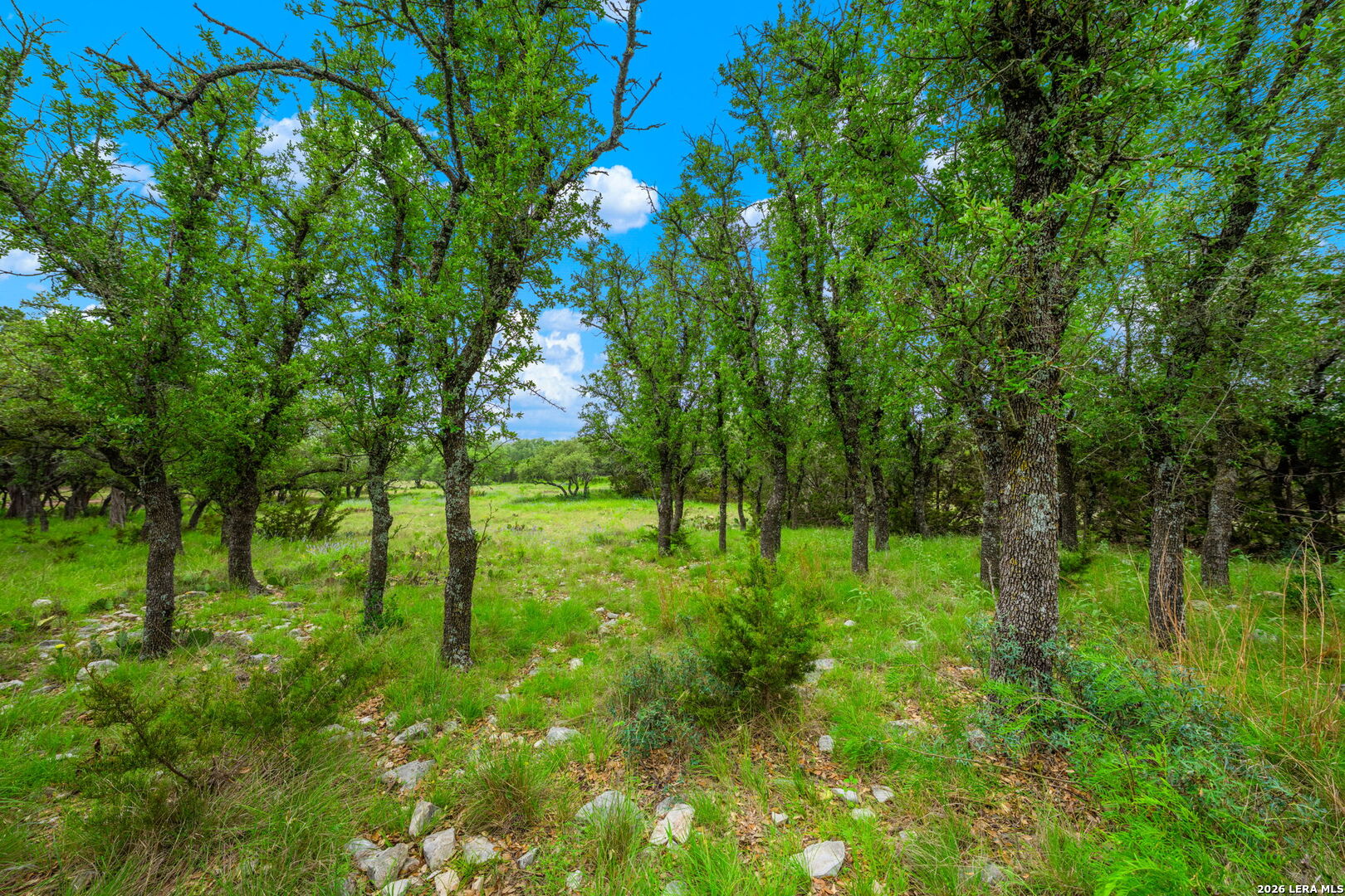 196 Scenic Hills Road Menard, TX 76859 - Photo 27 of 46