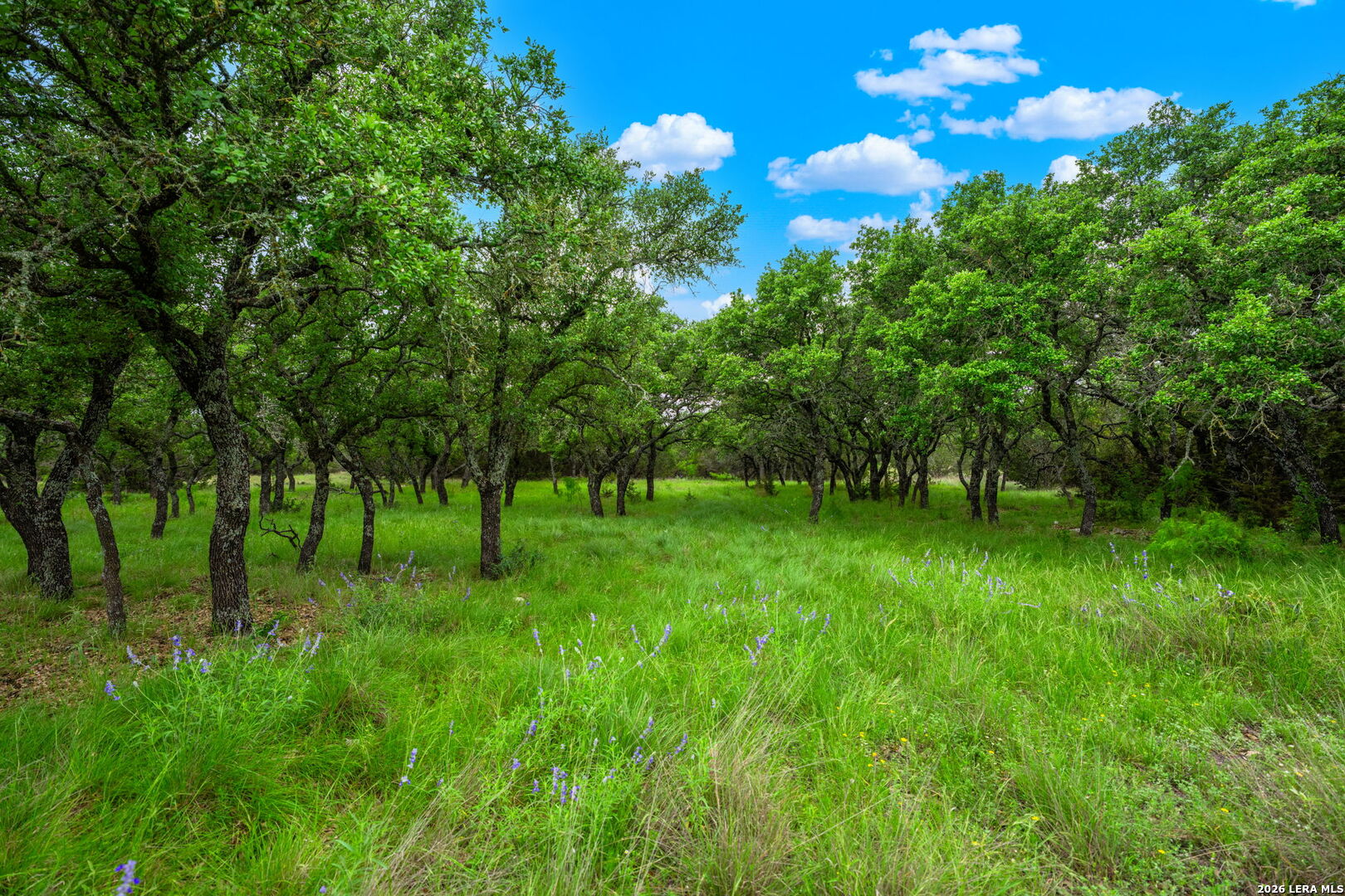 196 Scenic Hills Road Menard, TX 76859 - Photo 29 of 46