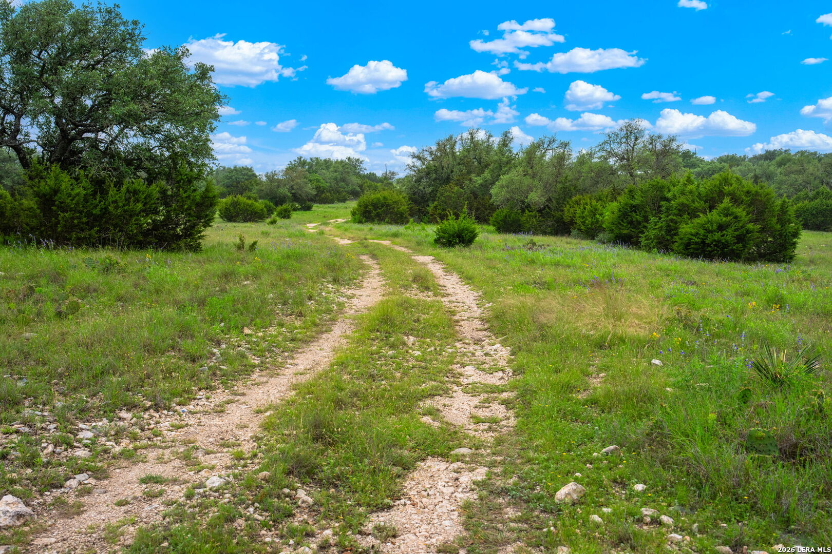 196 Scenic Hills Road Menard, TX 76859 - Photo 31 of 46