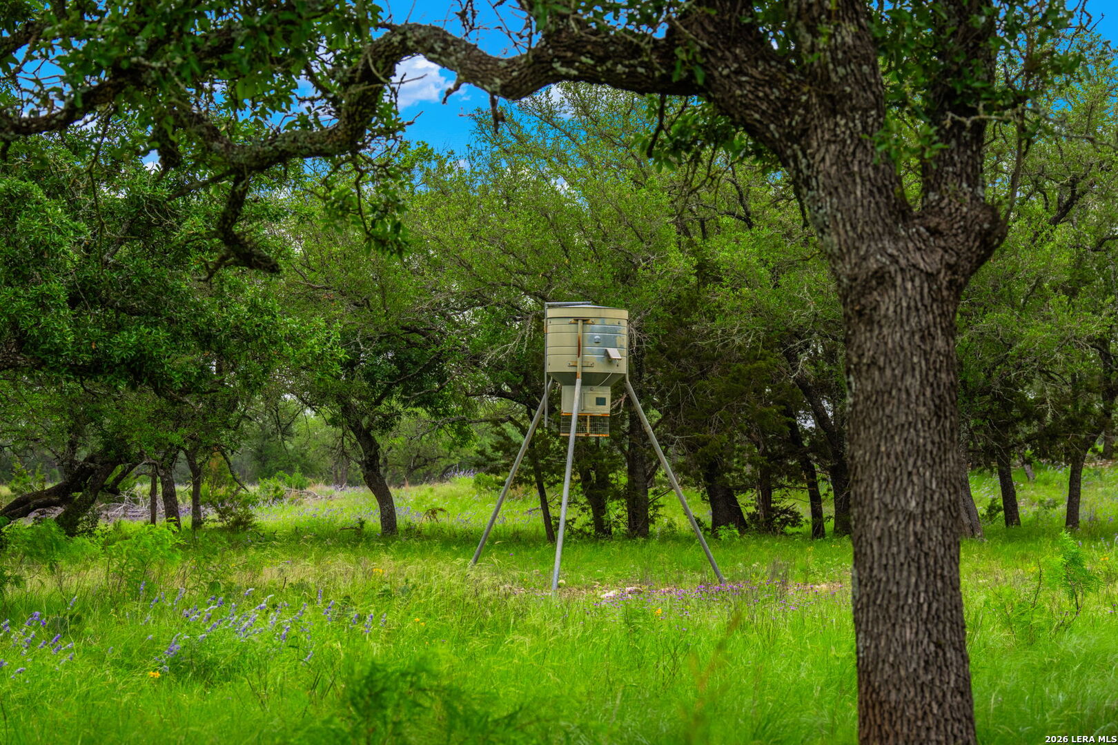 196 Scenic Hills Road Menard, TX 76859 - Photo 34 of 46