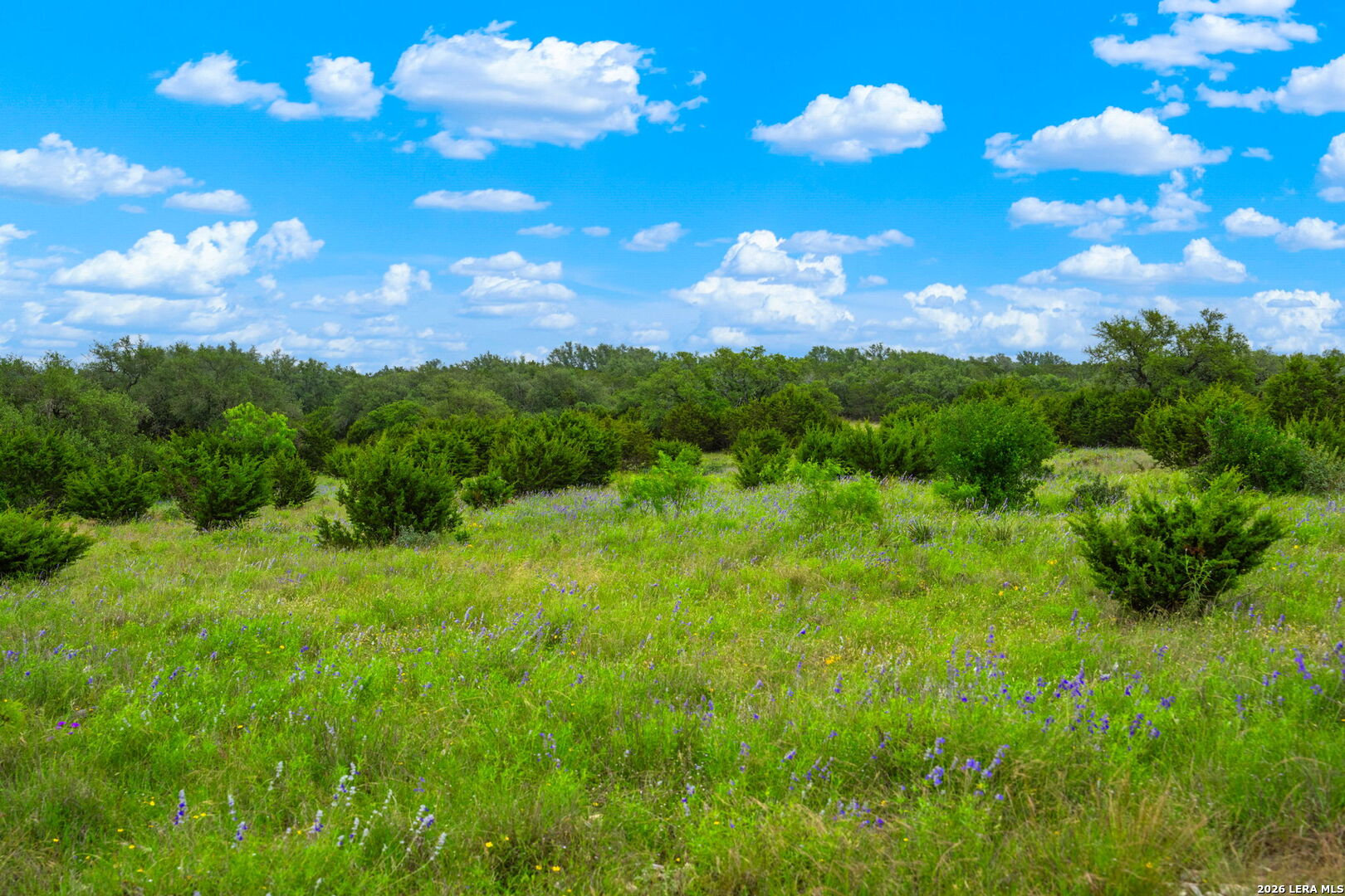 196 Scenic Hills Road Menard, TX 76859 - Photo 38 of 46
