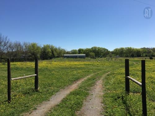 1890 Cortner Road Wartrace, TN 37183 - Photo 1 of 16 driveway leading to the mobile home on the property