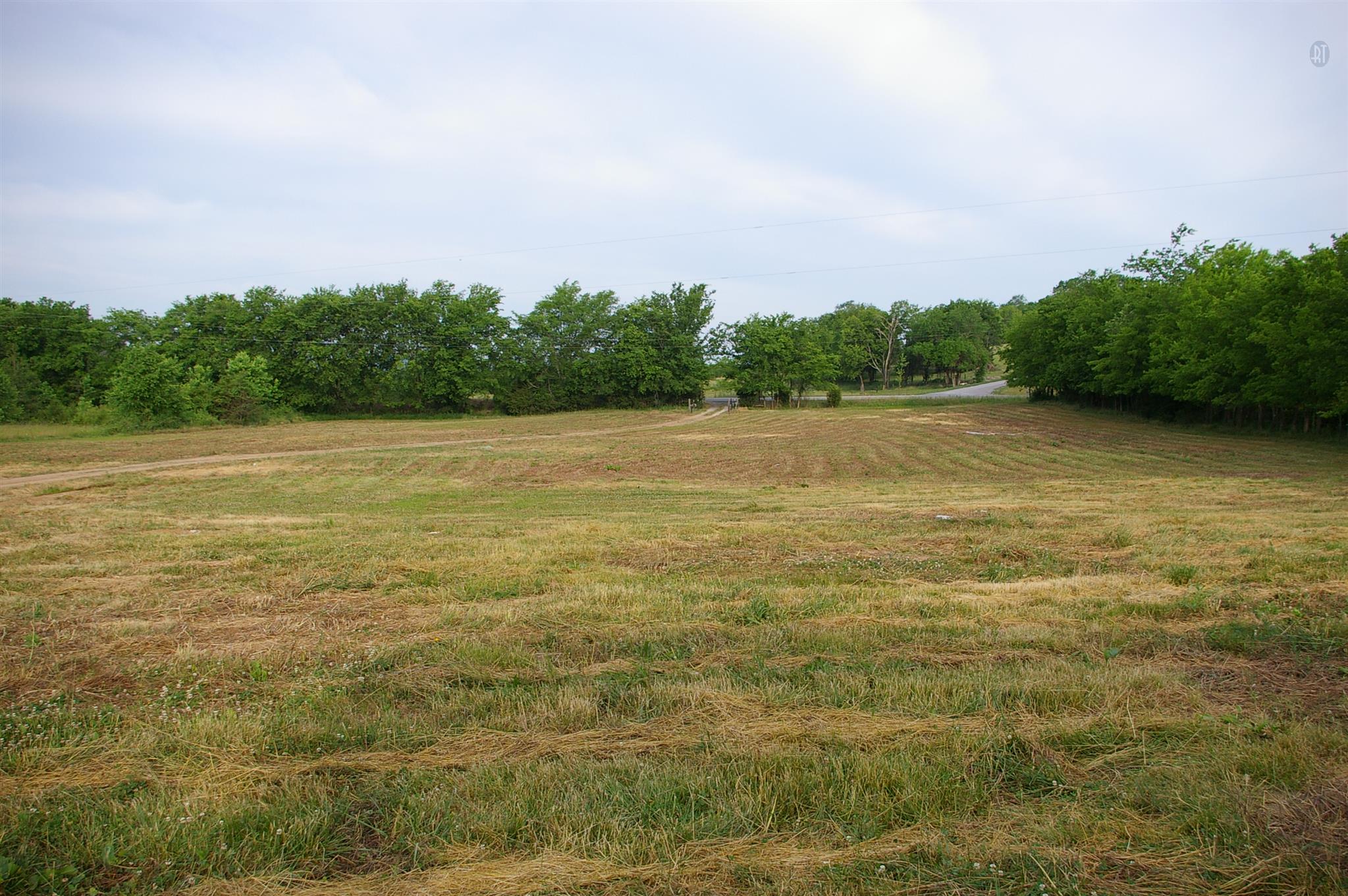 1890 Cortner Road Wartrace, TN 37183 - Photo 13 of 16 View from front steps of home
