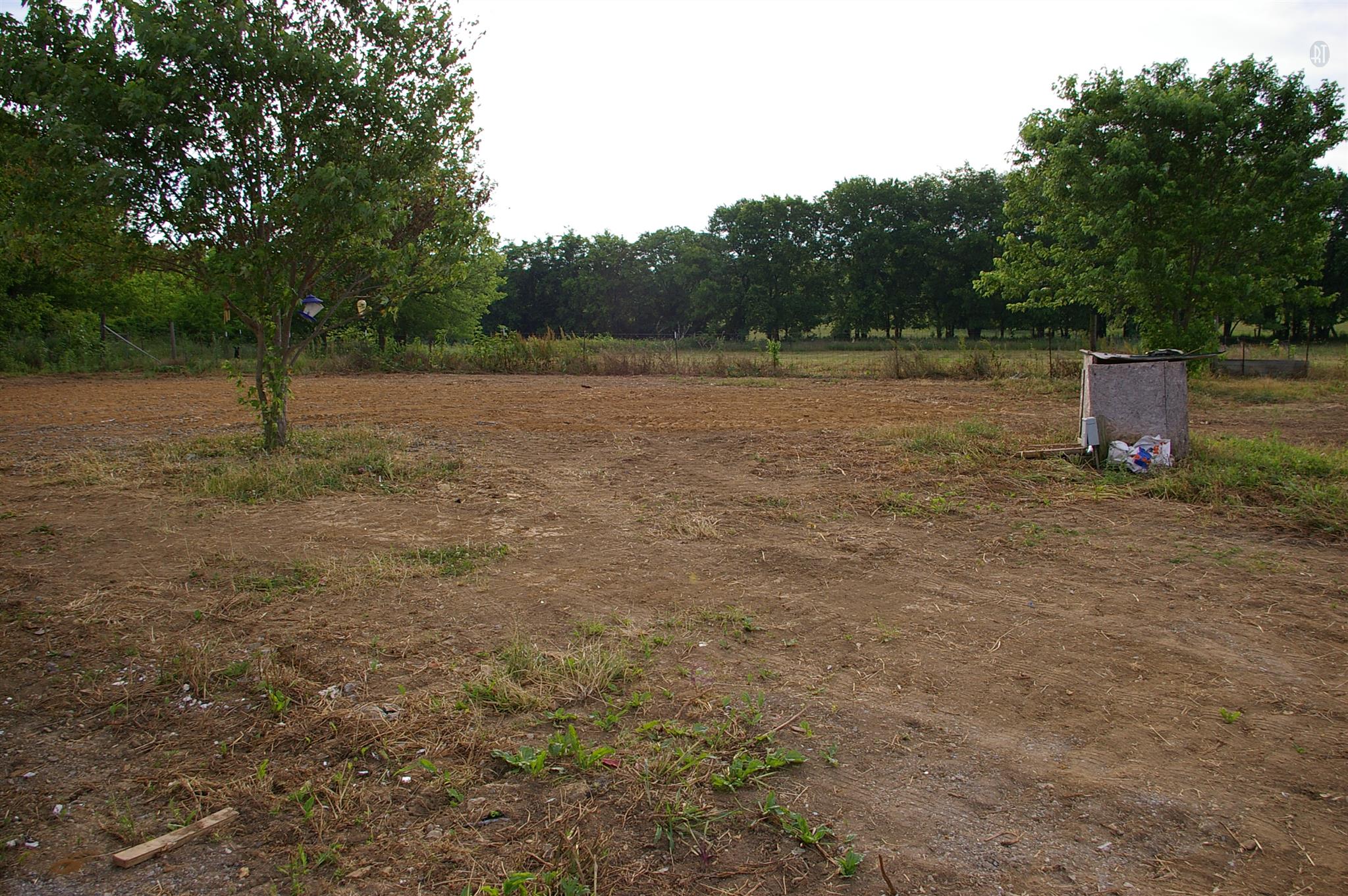 1890 Cortner Road Wartrace, TN 37183 - Photo 14 of 16 Back yard