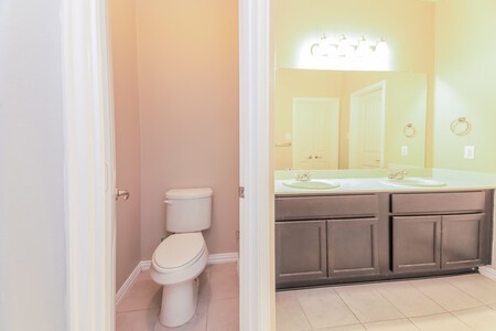 313 Caladium Drive Forney, TX 75126 - Photo 3 of 9 a bathroom with a sink a toilet and mirror