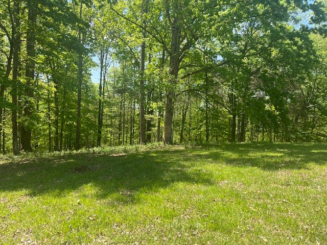 0 Ridgeview Run Lynchburg, TN 37352 - Photo 2 of 4