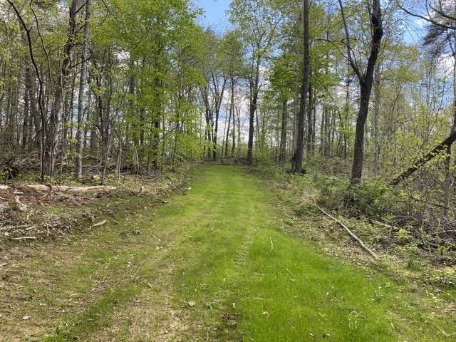 6000 Greenbriar Road Breeding, KY 42715 - Photo 28 of 29 Gallery Image 28