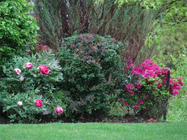 18 Surrey Road Littleton, MA 01460 - Photo 17 of 23 Gallery Image 17